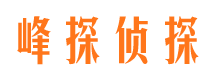 海城市私人侦探